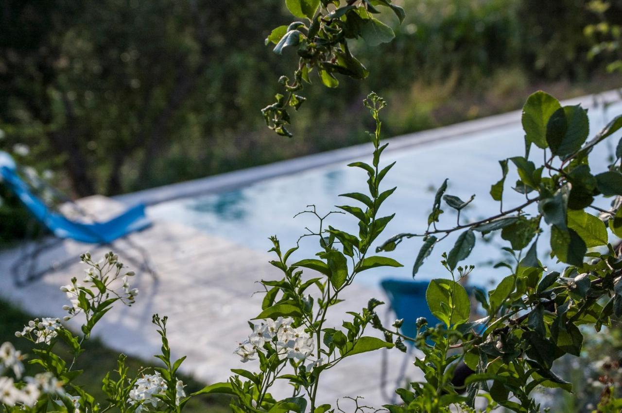 Tenuta San Rocco Conzano Eksteriør bilde