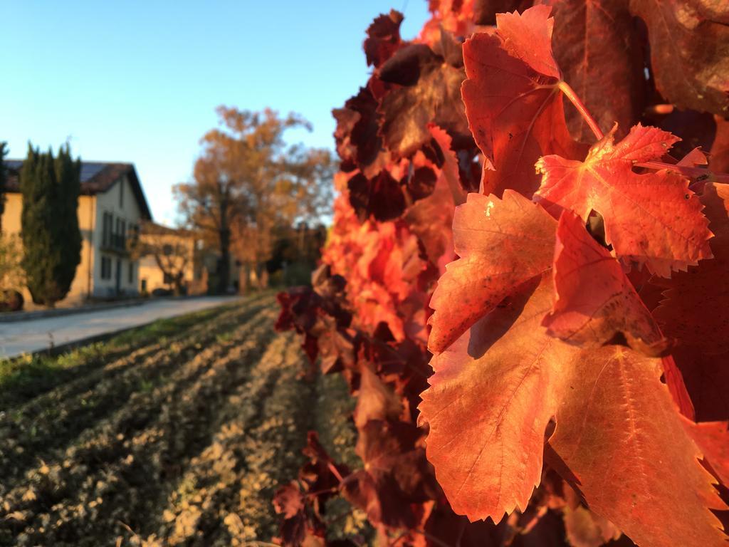 Tenuta San Rocco Conzano Eksteriør bilde