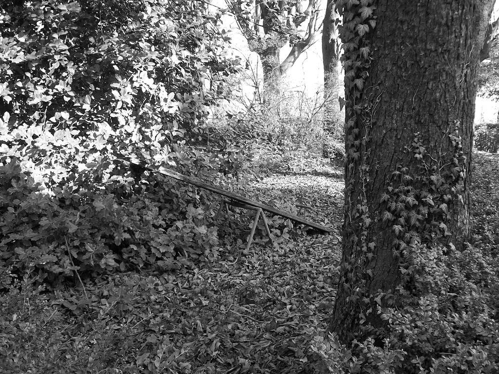 Tenuta San Rocco Conzano Eksteriør bilde